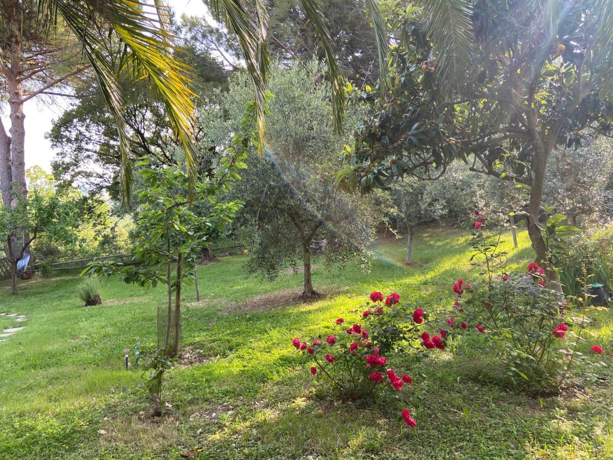 Villa Antonella Castellina Marittima Ngoại thất bức ảnh