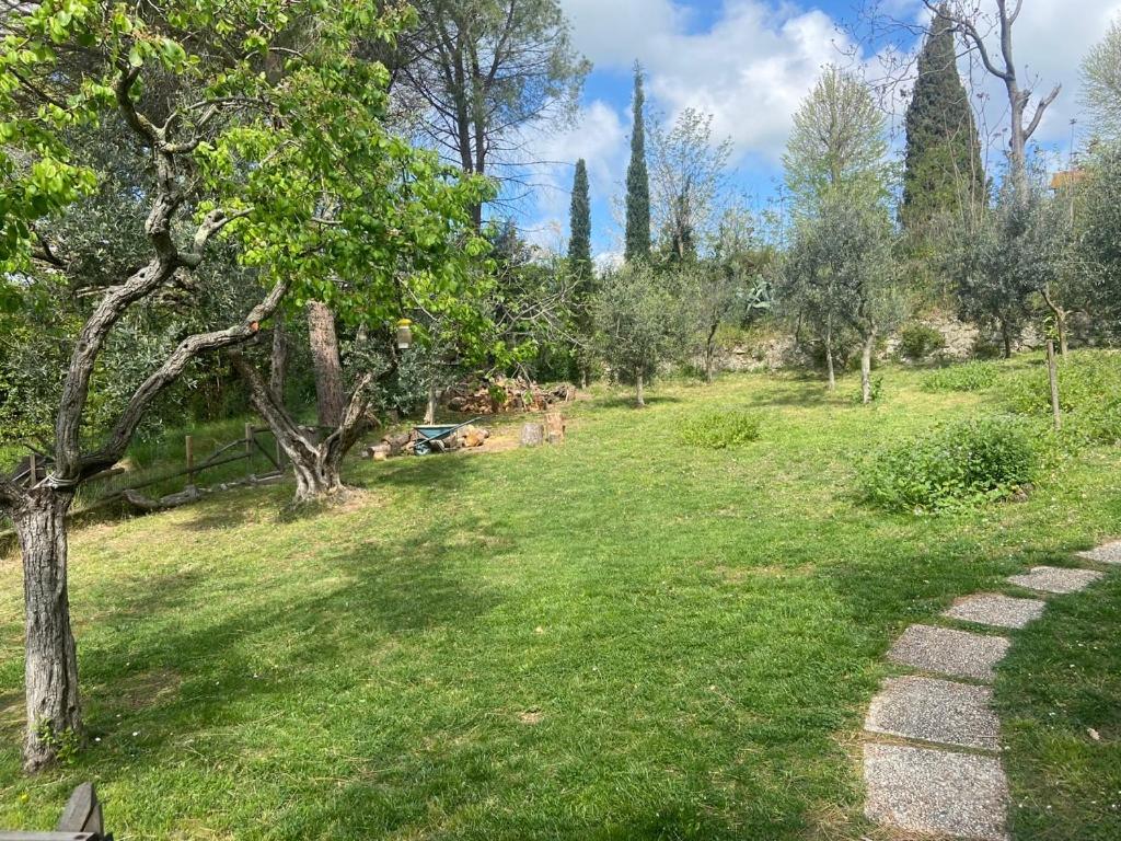Villa Antonella Castellina Marittima Ngoại thất bức ảnh